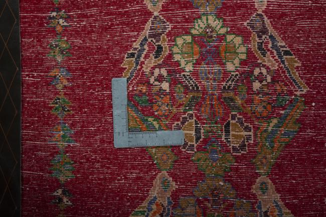 Shiraz - 4