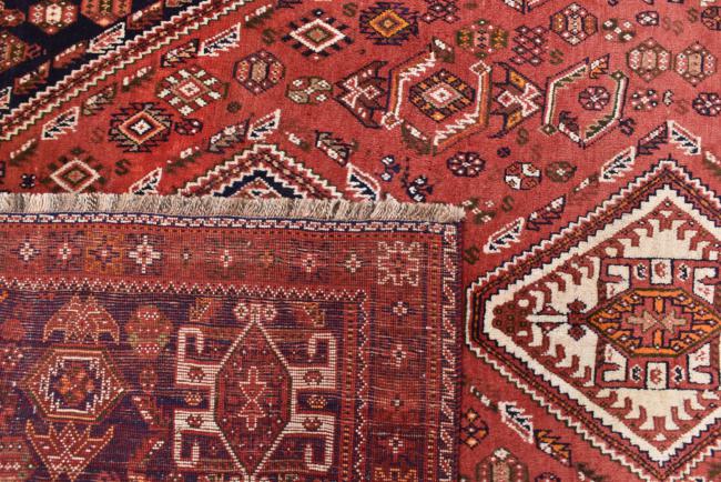 Shiraz - 6