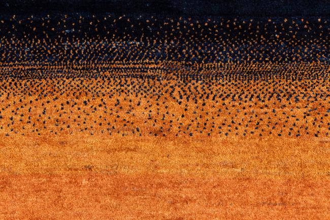 Persja Gabbeh Loribaft Atash - 6