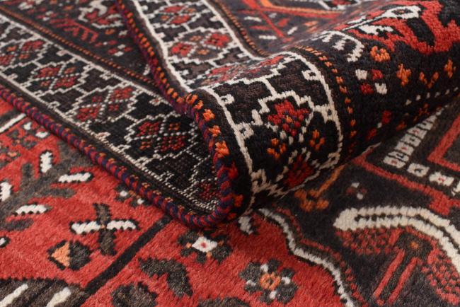 Shiraz - 7