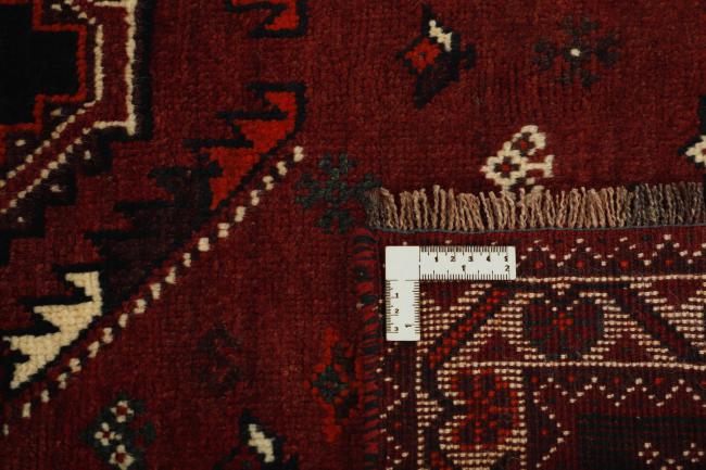 Shiraz - 1