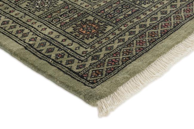 Pakistański Buchara 3ply - 3