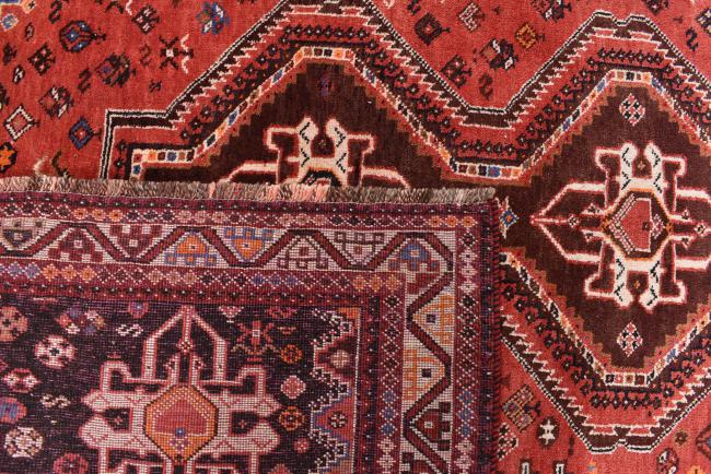 Shiraz - 6