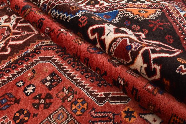 Shiraz - 8
