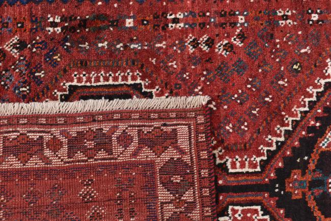 Shiraz - 6