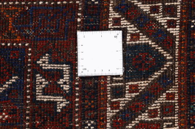 Shiraz - 10