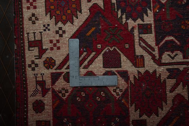 Shiraz - 4
