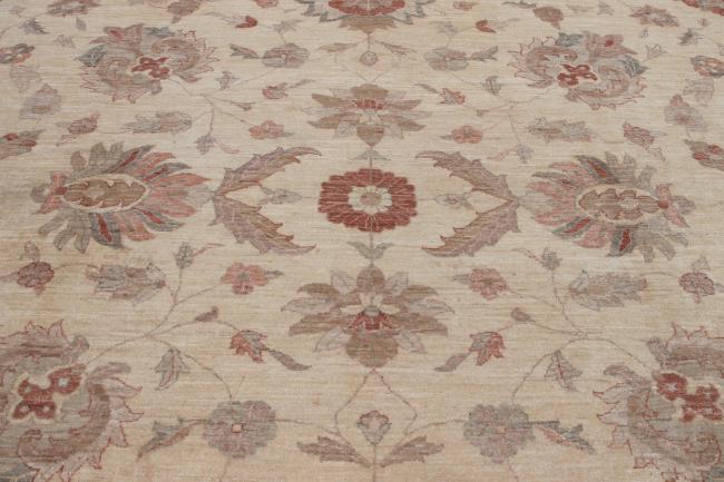 Ziegler Farahan - 4