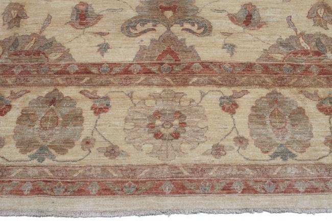 Ziegler Farahan - 5