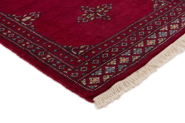 Pakistan Buchara 2ply - 3