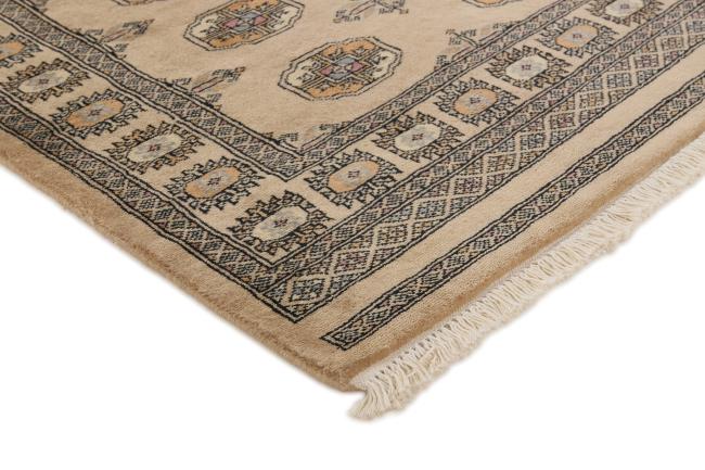Pakistan Buchara 3ply - 3