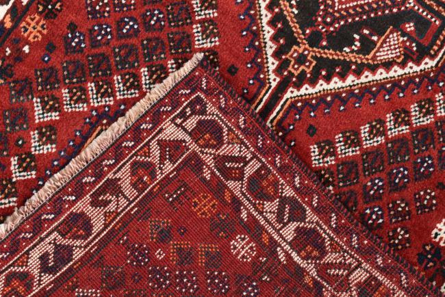 Shiraz - 6