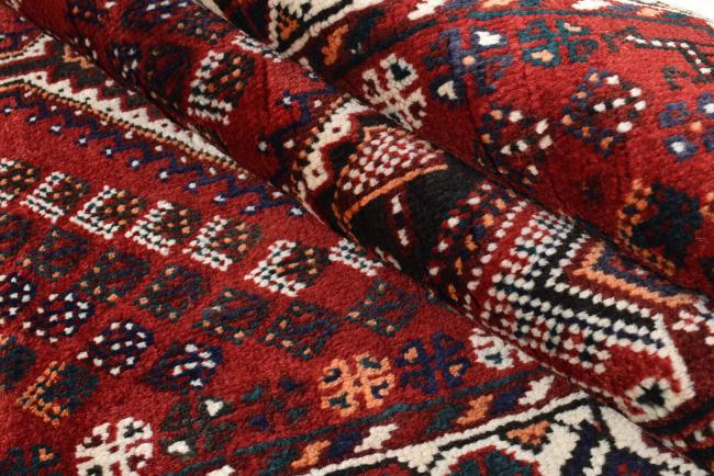 Shiraz - 8