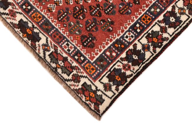 Shiraz - 4