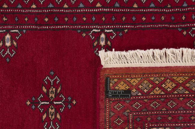 Pakistan Buchara 2ply - 1