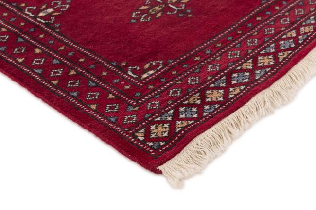 Pakistan Buchara 2ply - 3