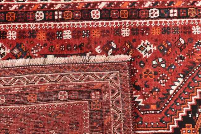 Shiraz - 6