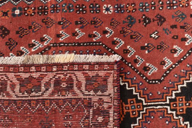 Shiraz - 6