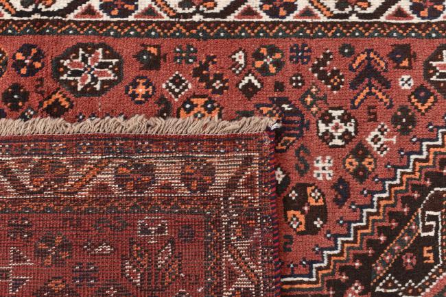 Shiraz - 6