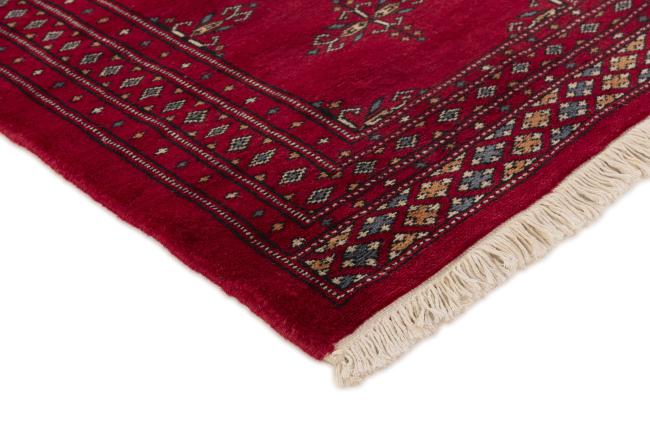 Pakistan Buchara 2ply - 3