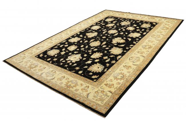 Ziegler Farahan - 2