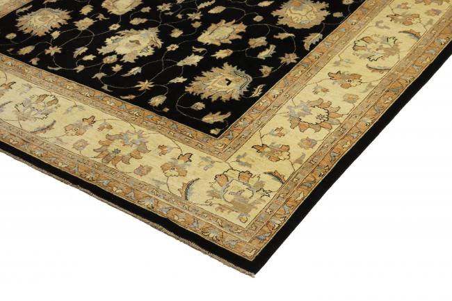 Ziegler Farahan - 3