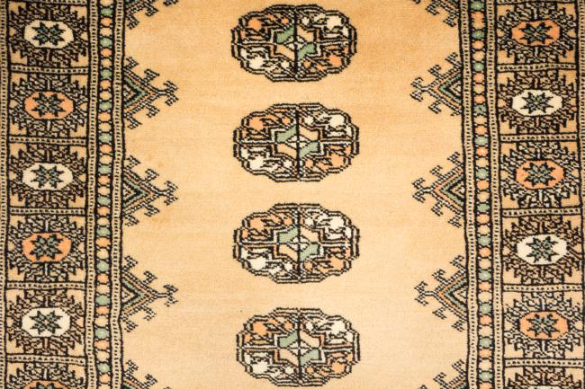 Pakistan Buchara 3ply - 3