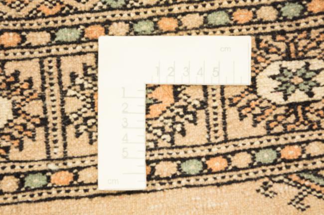Pakistan Buchara 3ply - 5