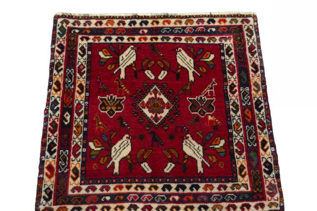 Shiraz - 3