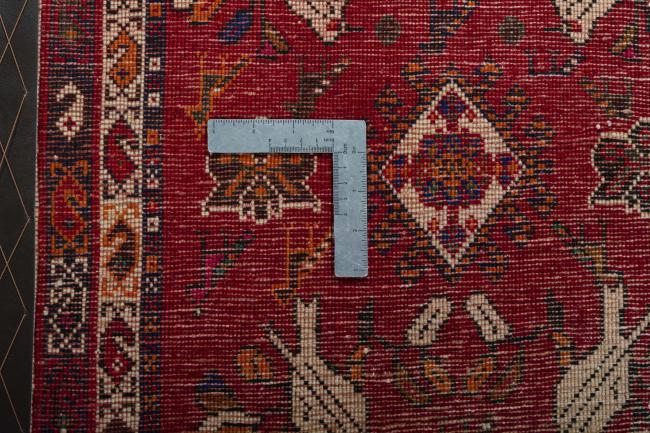 Shiraz - 4