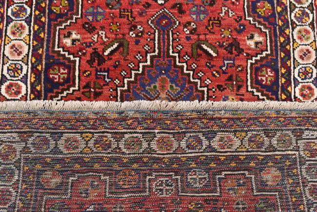 Shiraz - 6