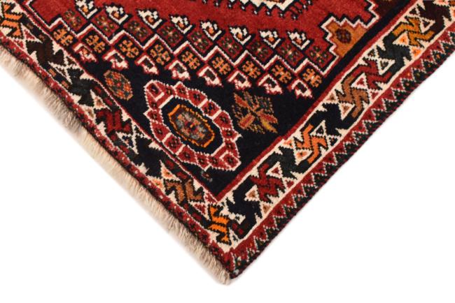 Shiraz - 4