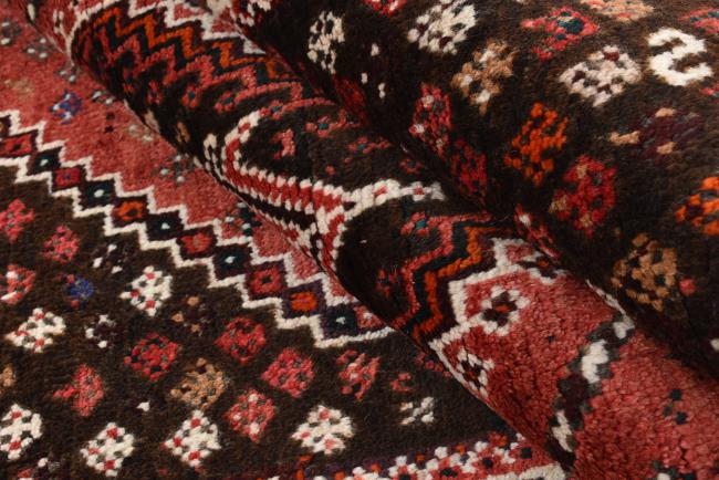 Shiraz - 8