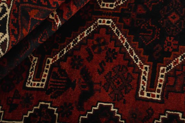 Shiraz - 2
