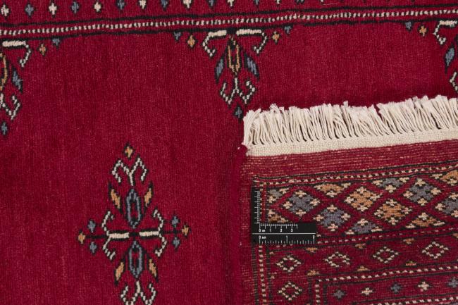 Pakistan Buchara 2ply - 1