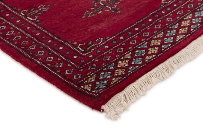 Pakistan Buchara 2ply - 3