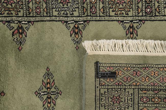 Pakistan Buchara 3ply - 1