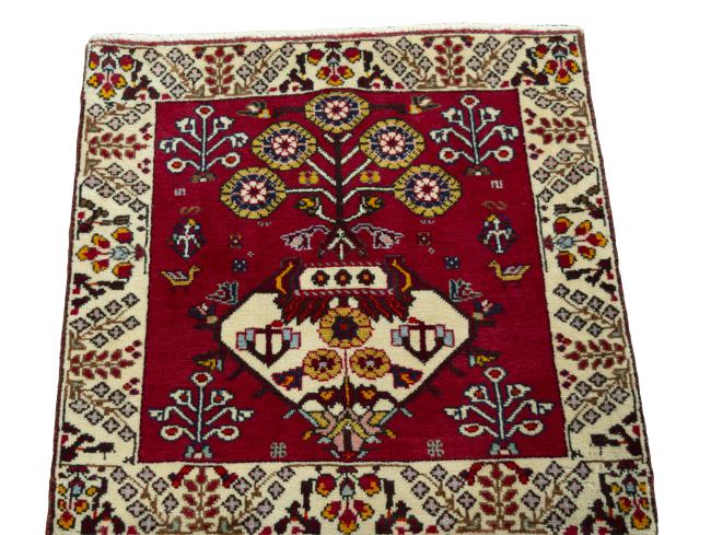 Shiraz - 3