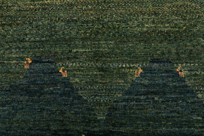 Perzisch Gabbeh Loribaft Nowbaft - 6