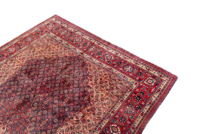 Tabriz Mashayekhi - 3