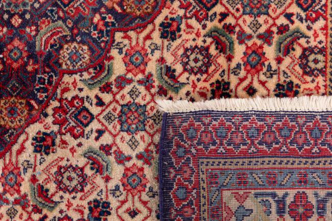 Tabriz Mashayekhi - 6