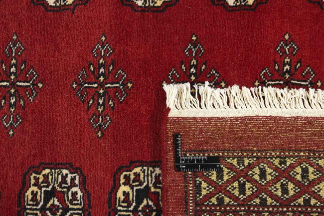 Pakistan Buchara 2ply - 1
