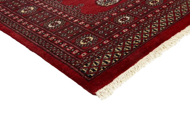 Pakistan Buchara 2ply - 3