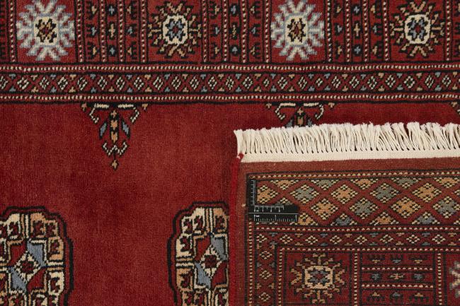 Pakistan Buchara 2ply - 1