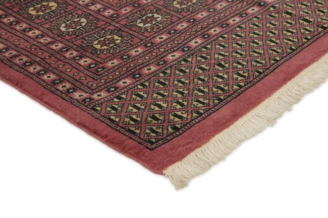 Pakistan Buchara 2ply - 3