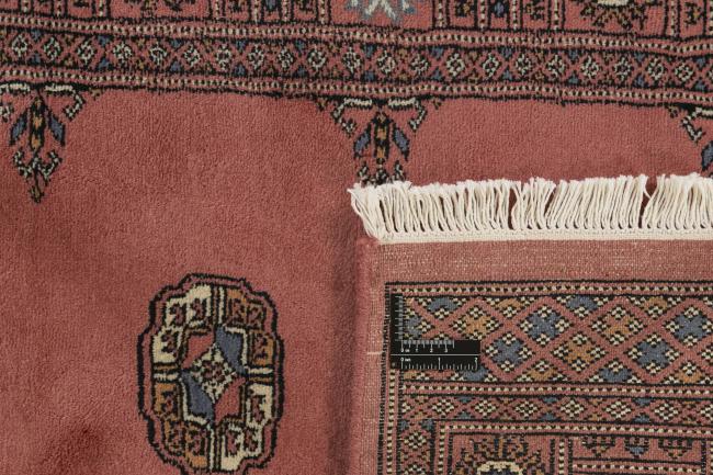 Pakistan Buchara 3ply - 1