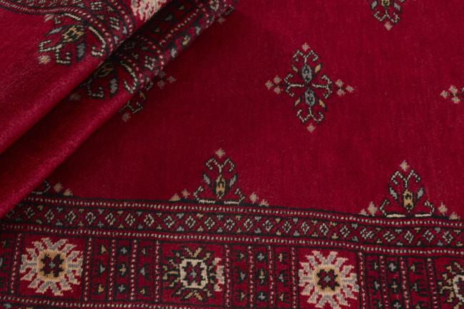 Pakistan Buchara 3ply - 2