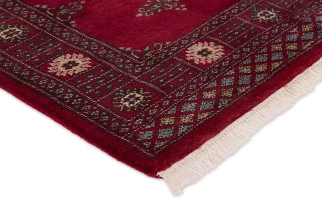 Pakistan Buchara 3ply - 3
