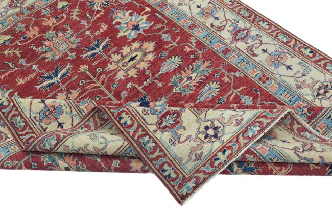 Ziegler Farahan - 5