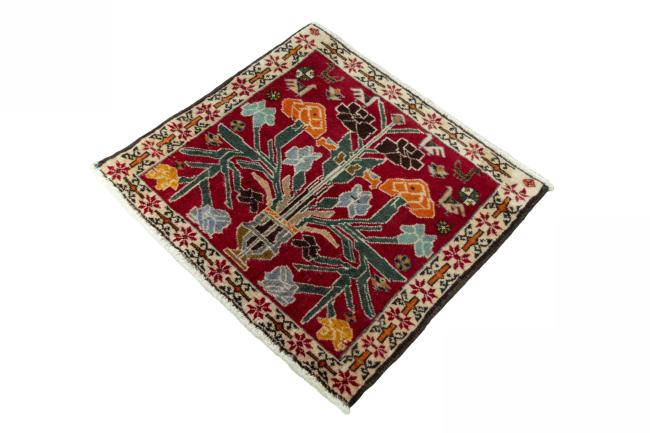 Shiraz - 1